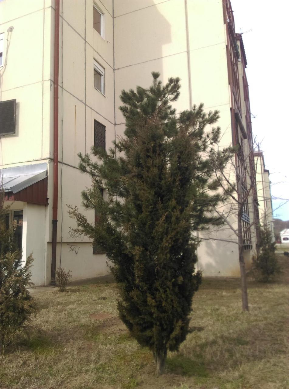 Two Rivers Apartment Belgrad